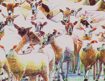 Flock、2011、（紙に色鉛筆） 作： Helen White